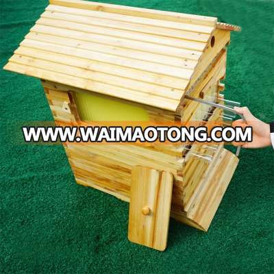 Top quality Chinese bee hives/honey flow bee hive/flow honey bee keeping box