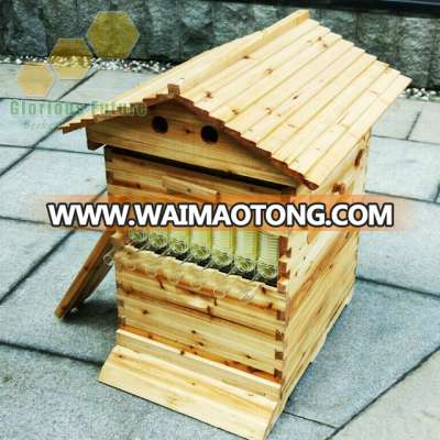 hot sale bee hive box chinese low price auto flow honey bee hive with7 pcs flow frame